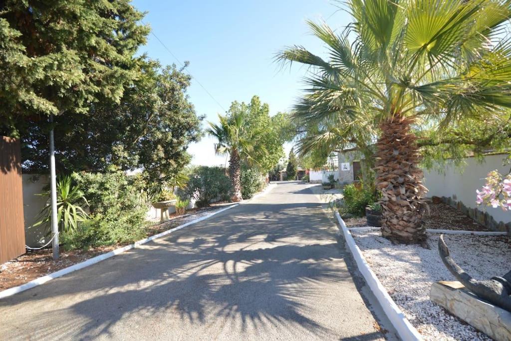 Casas Paqui Y Pablo Con Piscina Compartida En Conil Βίλα Conil De La Frontera Εξωτερικό φωτογραφία